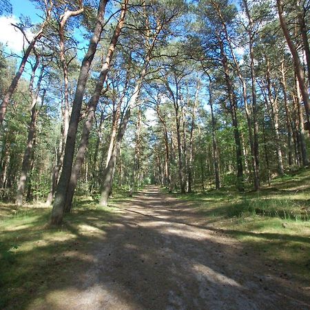 M&K Apartamenty Zielony Zakatek - Sobieszewo Гданьск Экстерьер фото